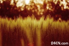 ���е���ͷ�����