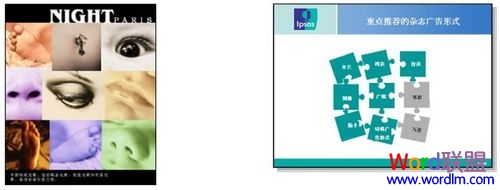 ���������PPT���沼�������̳�