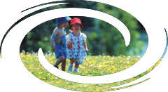 CorelDraw�̳�:���ʹ���ɰ弼��