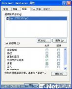 ����ʹ����NTFSȨ�� ����IE��ȫ